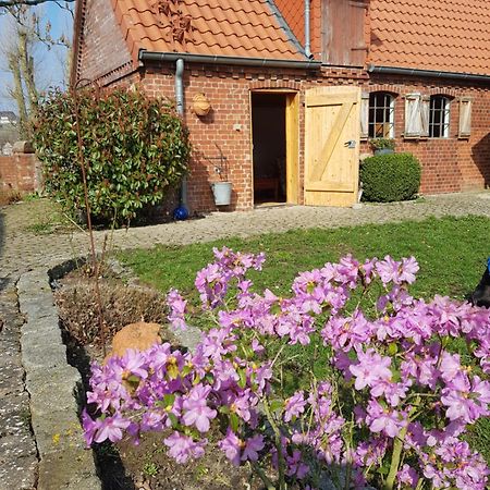 Ferienhaus Voern-Diek Hohnstorf Buitenkant foto