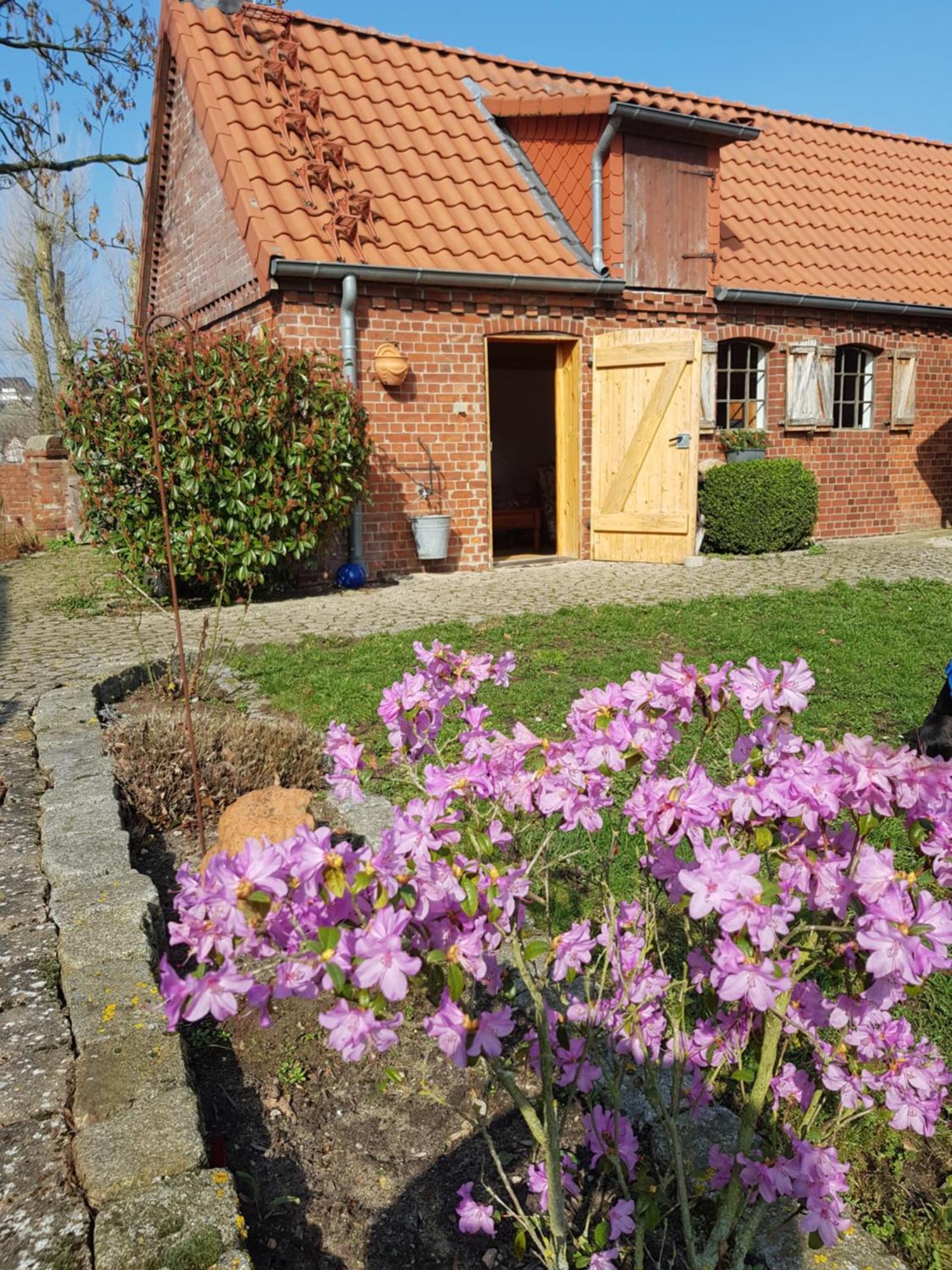Ferienhaus Voern-Diek Hohnstorf Buitenkant foto