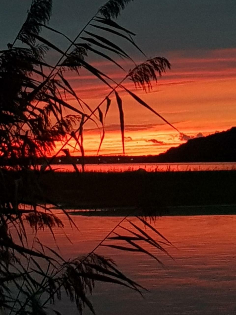 Ferienhaus Voern-Diek Hohnstorf Buitenkant foto